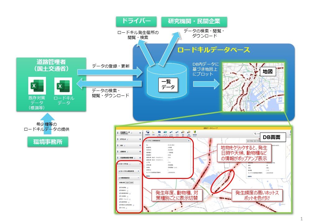 ロードキル発生・対策状況